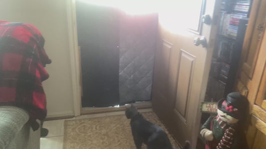 Watch before purchase: reviewer walks through the Fillis clear-window thermal door curtain, the magnetic seam and the quality of the quilted panel