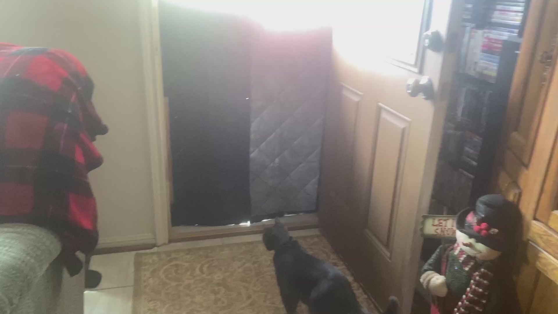 Watch before purchase: reviewer walks through the Fillis clear-window thermal door curtain, the magnetic seam and the quality of the quilted panel